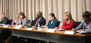 Panellists (from right to left): Renzo Lavin, Rosanna del Pozo Goicochea, Helen Grandvoinnet, Jeff Thwinda, Diane Welborn, Foziya Amin and Tom Pengram