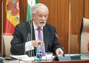 El Defensor del Pueblo andaluz apela a la cooperación para superar la Covid-19