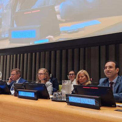 The high level panel to raise awareness on the role of Ombudsman